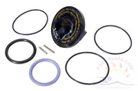 01 - Jandy® Push-Pull Side Mount Valve, Rebuild Kit, SVLV2/SVLV8, Incl. Parts marked 1 (R0442100)