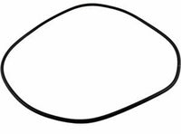 Jandy® JEP ePump Backplate O-ring (R0446300)