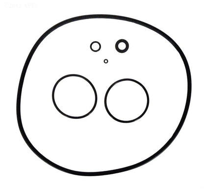 Jandy Cartridge Filter O-ring Kit, Models CL/CS (R0466300)