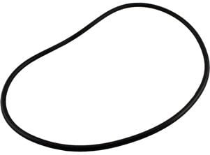 Jandy® FHPM FloPro Pump Backplate Oring (R0480300)
