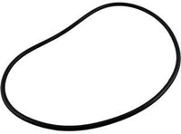 Jandy® FHPM FloPro Pump Backplate Oring (R0480300)