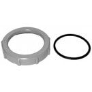 Jandy AquaPure Ei Locking Ring (R0511300)