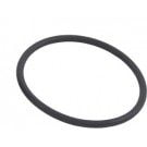 Jandy AquaPure Ei Main O-ring (R0511600) Now R0738500