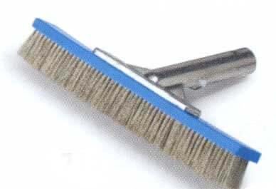 Pentair/Rainbow Brush, Algae, S/S Bristle, 6 in. (#604A) (R111616)