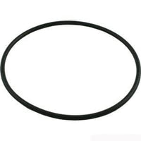 Rainbow Dynamic Series Cartridge Filter Lid O-ring (O-330) (R172223)