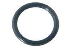 Rainbow Dynamic II/III Cartridge Filter, O-Ring Access Plug (Earlier Models) (R172393)