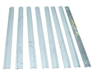 Raypak Heater Stud Bolt Kit (007870F)