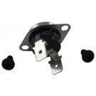 Raypak RP2100 Standard Heater, Thermostat Auto Reset 135®├ª Surf Mount (006725F)