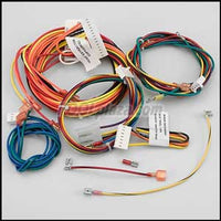 Raypak RP2100 Standard Heater, Wire/Harness IID (006738F)