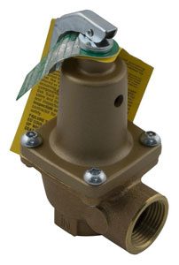Raypak 2100 Pressure Relief Valve, 125 psi, for Models 266/267 and higher (007224F)