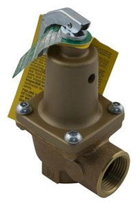 Raypak 2100 Pressure Relief Valve, 125 psi, for Models 266/267 and higher (007224F)