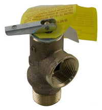 Raypak 2100 Pressure Relief Valve, 125 psi, for 206 &207 Models (008091F)
