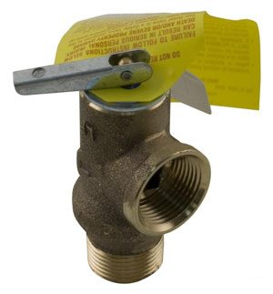 Raypak 2100 Pressure Relief Valve, 125 psi, for 206 &207 Models (008091F)