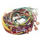 Raypak LowNOx Wire Harness Kit (010347F)