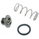Raypak RP2100 Standard Heater, Unitherm Governor (062234B)