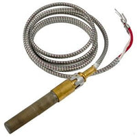 Raypak Gemini Heater, Pilot Generator MV (600019B)