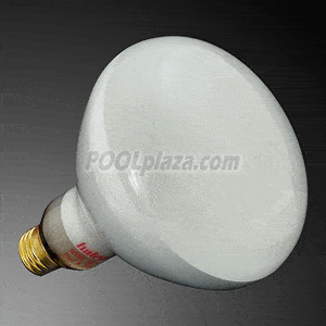 Hayward Generic Bulb, 500W, 120V, R-40 (SPX0504Z4)