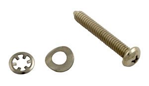 Hayward Color Spa Face Rim Lockscrew w/Fastener (SPX0540Z16A)
