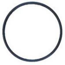 Hayward Skim-Master 1070 Skimmer, Float Valve O-Ring (SPX1070Z1)