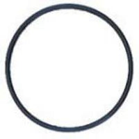 Hayward Skim-Master 1070 Skimmer, Float Valve O-Ring (SPX1070Z1)