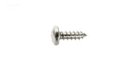 Hayward Skim-Master 1070 Skimmer, Retaining Screw (SPX1070Z6)