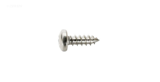 Hayward Skim-Master 1070 Skimmer, Retaining Screw (SPX1070Z6)