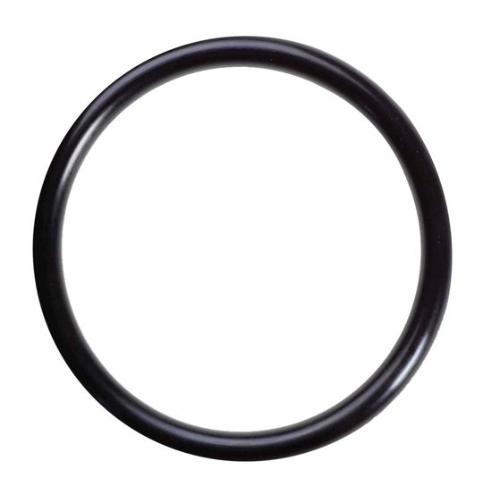 Hayward Jet-Air III Hydrotherapy Fitting, Vari-Flo Nozzle O-ring (SPX1434J)