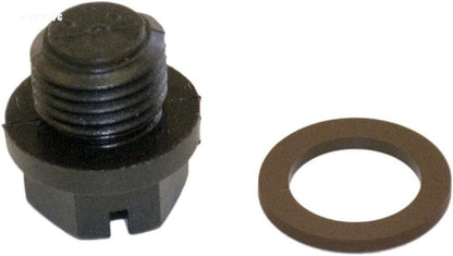 Hayward CL200 1/4 in. Drain Plug with Gasket (After 1991) (SPX1700FA) (SPX1700FGV)
