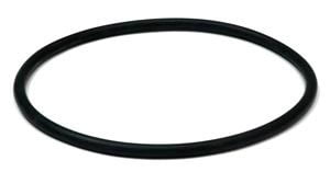 Hayward EcoStar Strainer Cover O-ring (SPX3200S)