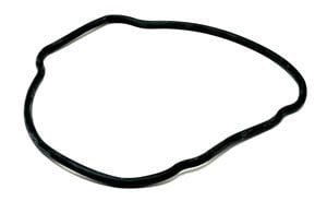 Hayward EcoStar Housing O-Ring (SPX3200T)