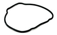 Hayward EcoStar Housing O-Ring (SPX3200T)