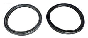 TriStar Pump, Union Gasket (SPX3200UG)