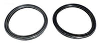 TriStar Pump, Union Gasket (SPX3200UG)