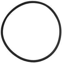 Hayward Nothstar Strainer Cover T-Ring (2003-2007) (SPX4000TS) Overstock!