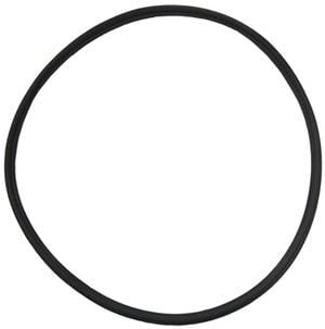 Hayward Nothstar Strainer Cover T-Ring (2003-2007) (SPX4000TS) Overstock!