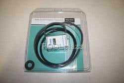 Sta-Rite Dura-Glas II/Max-E-Glass II Pump (After 1998), Seal/Gasket Kit, (PP4200)