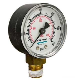 Sta-Rite PTM 50/70/100 Pressure Gauge bottom mount (15060-0000T)