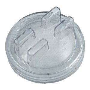 Sta-Rite ABG Pump, Trap Lid (17500-0003)