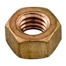 Sta-Rite DES Nut, 5/16-18 (35402-0279)