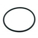 Sta-Rite Duetta Valve Index Plate O-ring (35505-1246)
