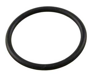 Sta-Rite System 3 Modular Cartridge O-Ring (35505-1429) Overstock+