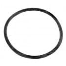 Sta-Rite ABG Pump, Trap Lid O-ring (35505-1437)