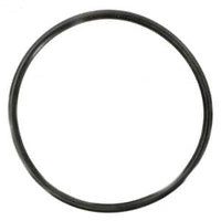 Sta-Rite System 3 DE Filter, O-Ring (35505-7438)
