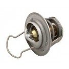 W16 - Sta-Rite Max-E-Therm Thermal Regulator w/Spring Clip (38000-0007S)