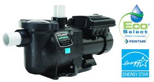 Sta-Rite SuperMax® VS Variable Speed Pump, 1.5 HP Max., 108-230v (343001)