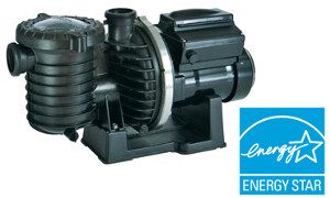 Sta-Rite IntelliPro Variable Speed Pump (013004) See the 013075