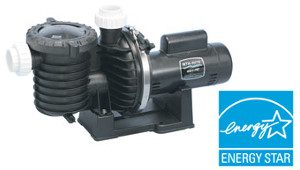 Sta-Rite Max-E-Pro Pump, High Head, 2 Speed, Up Rated, 2.0 HP, 230v (P6RA6YG-207L) - Obsolete