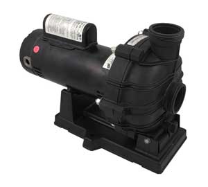 Sta-Rite Dyna-Jet Pump, 2.0 HP, 230v, EE (TPEAG-167L)