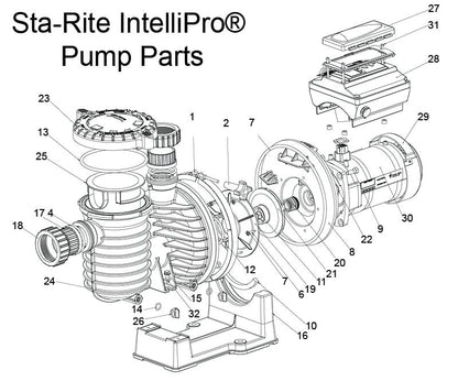 Sta-Rite IntelliPro VS 3050 Pump Parts