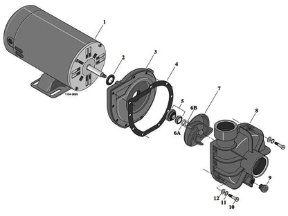 Sta-Rite LT-Series Pump Parts
